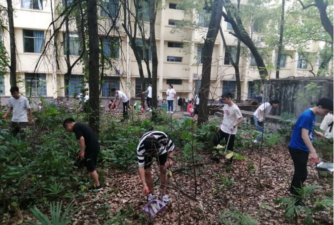 PA视讯集团官网