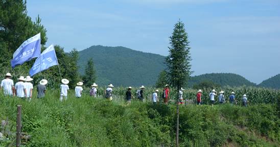 PA视讯集团官网