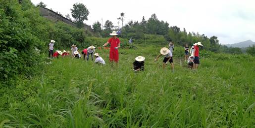 PA视讯集团官网