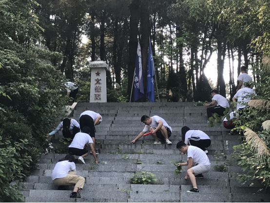 PA视讯集团官网